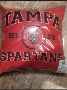 Soft Colorful 2 Sided NCAA 16" x 16" Decorative or Throw Pillows Tampa Spartans